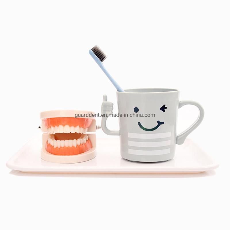 Falseteeth Acrylic Model Dental Denture Teeth Models for Implant Denture