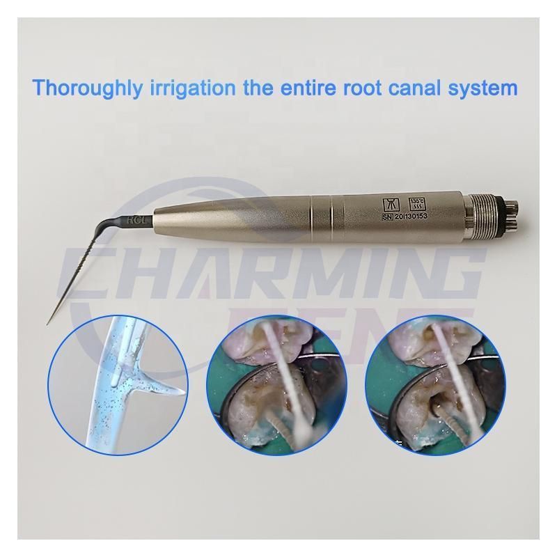 Teeth Cleaning Kavo Sonicflex Piezo Dental Air Scaler Handpiece with 3 Endodontic Tips for Root Canal Irrigation