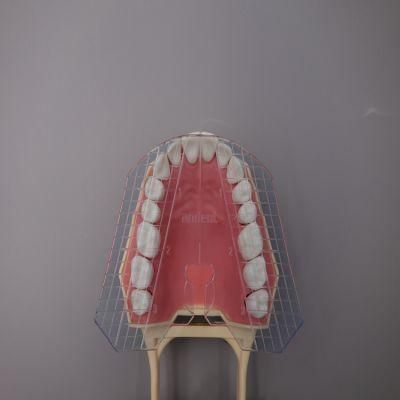 Guide Plate of Teeth